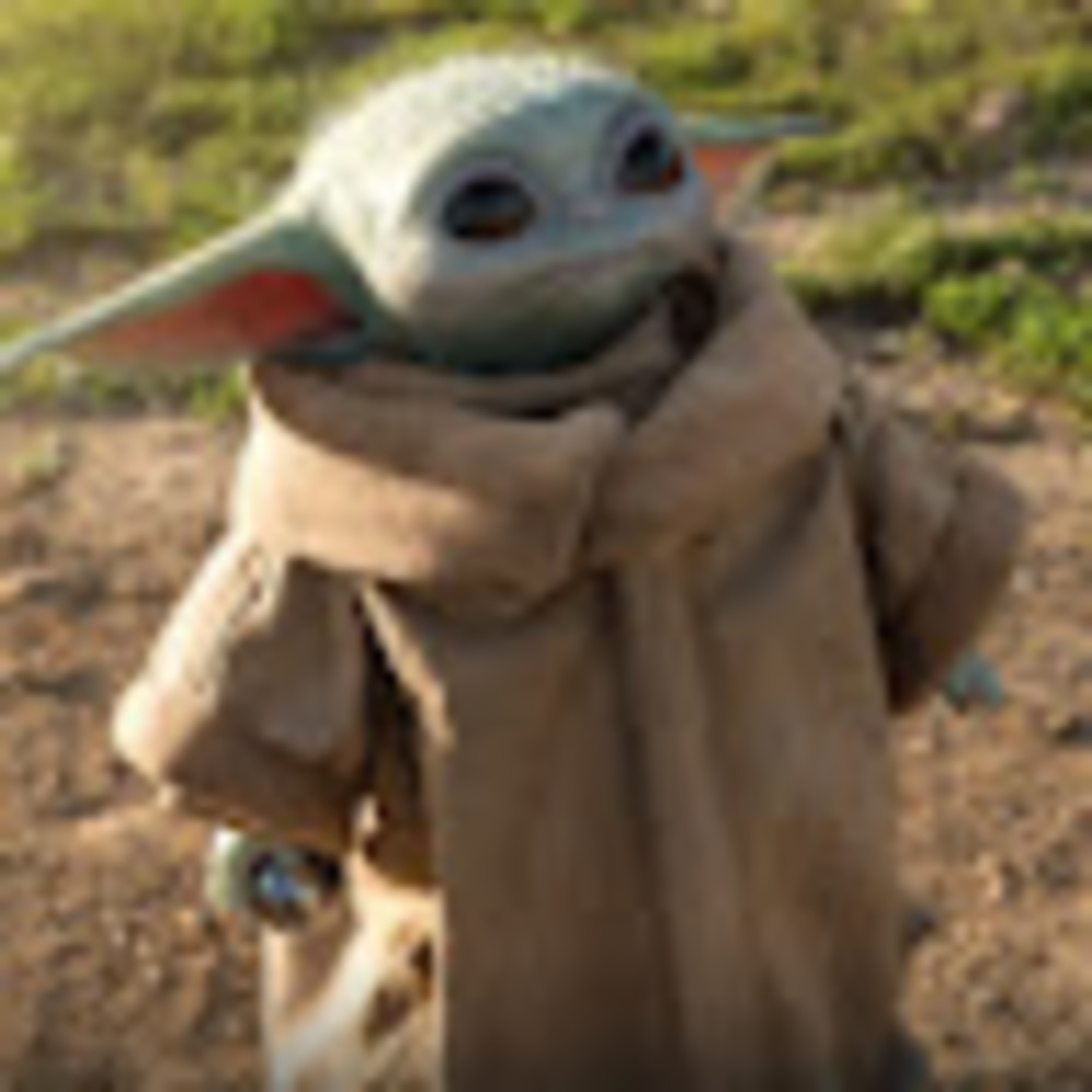 Meet your Posher, Grace